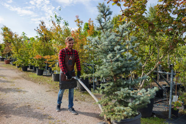 Trusted Zion, PA Tree Removal Experts